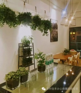 南京仙鶴門,奢綠輕食