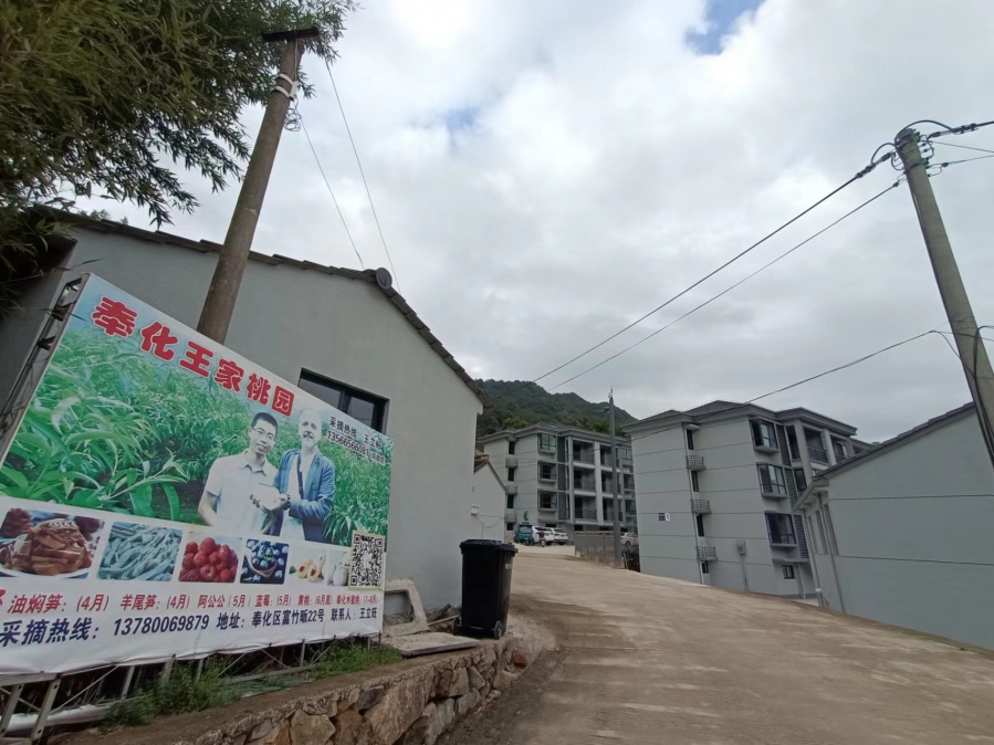 奉化王家桃園