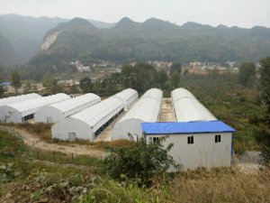 貴州大棚建設(shè)