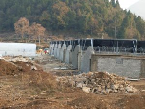 貴州大棚建設(shè)