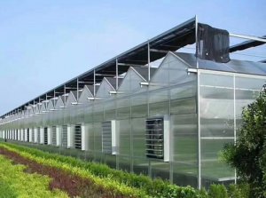 貴州塑料大棚