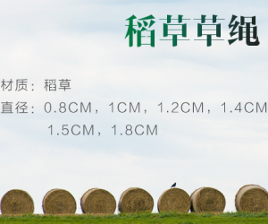 湖南陽陽農產品開發有限公司
