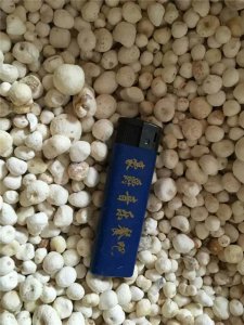 半夏干貨