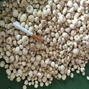 半夏干貨