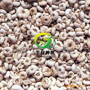 貴州半夏種植發(fā)展有限公司