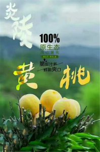 黃桃