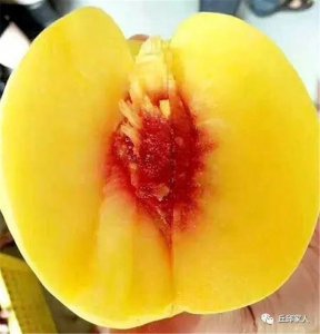 黃桃