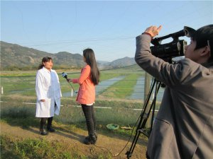孵化桶