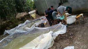 中高檔魚類繁育養殖
