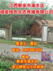 新余市渝水區(qū)祿榮綠色生態(tài)養(yǎng)殖有限公司